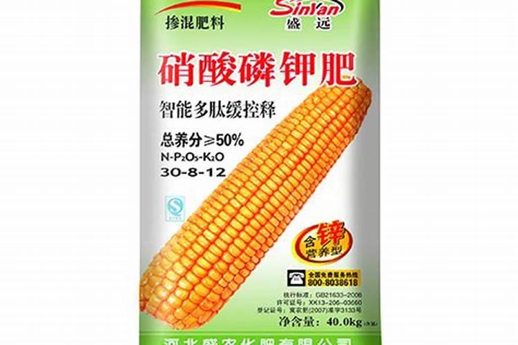 水竹的养殖方法和注意事项有哪些