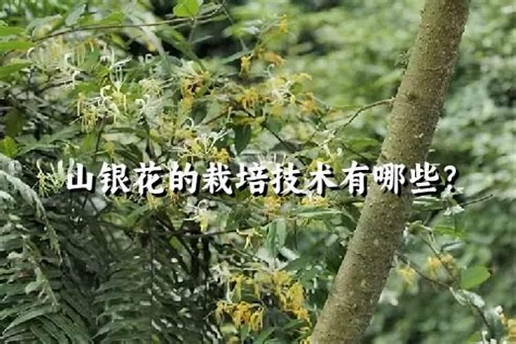 30斤水里面加多少碳铵给果树浇施才不会产生肥害,怎么计算