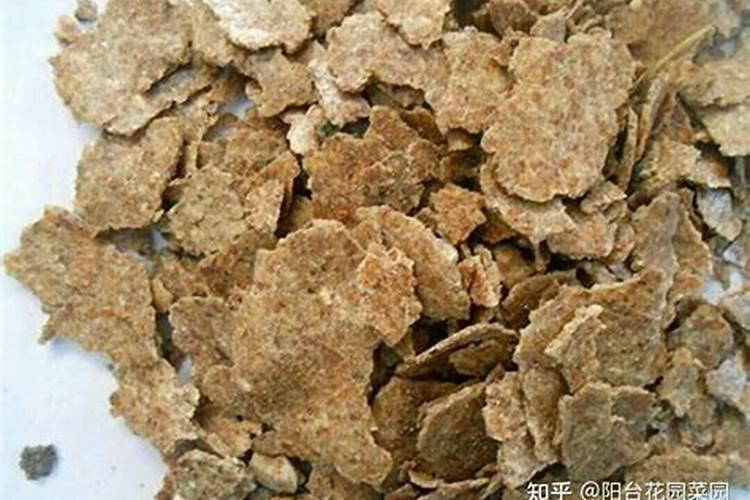 豆饼怎么发酵做肥料