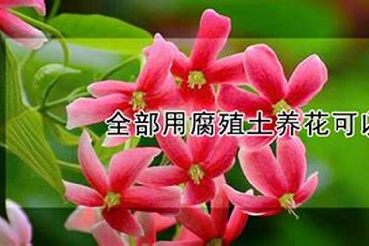 茉莉花可以用黄腐酸钾吗