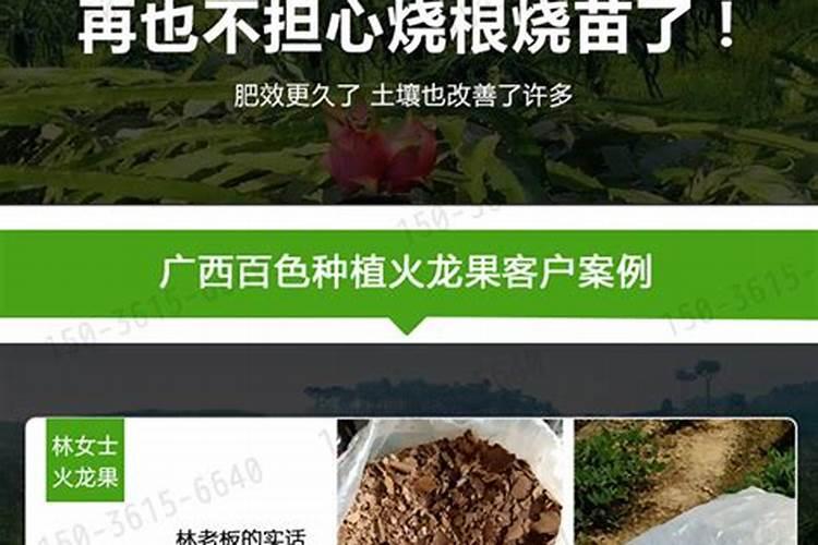 油枯与磷肥肥效有什区别