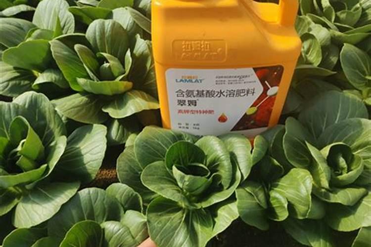 玉米底肥一次性施肥 氮磷钾 各用多少？