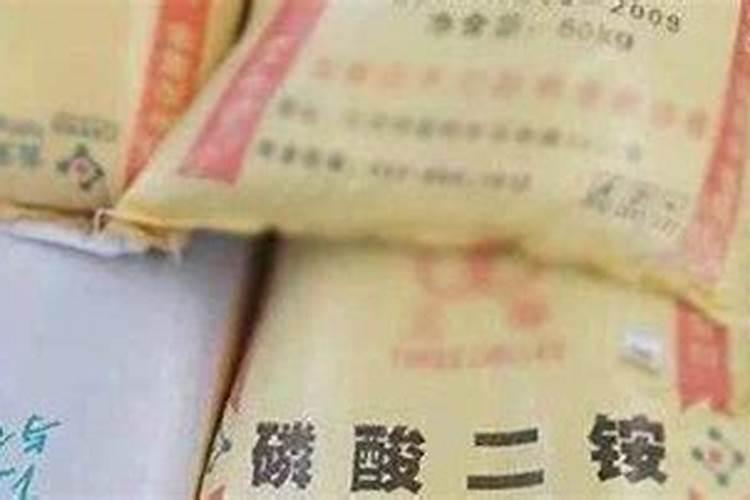 玉米用多少底肥合适