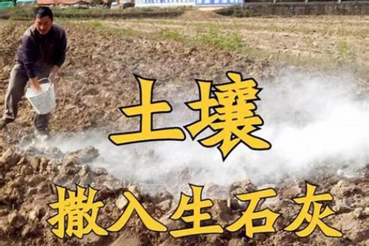 大红甲水溶肥使用方法