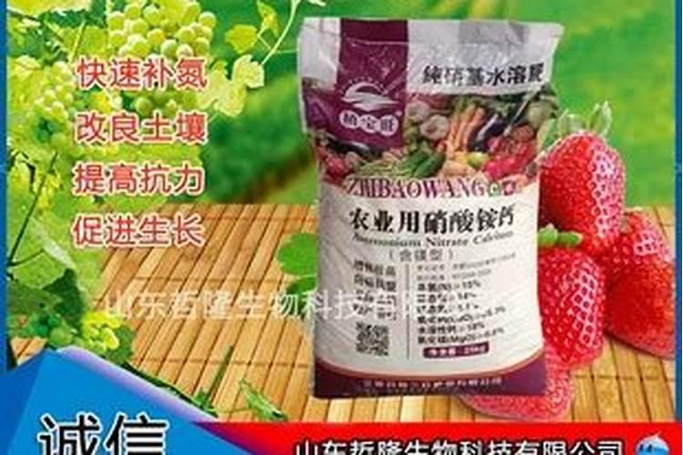 怎么给植物施肥