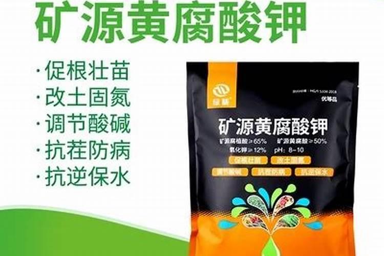 茶花施肥用什么肥料最好 用复合肥施肥长得快