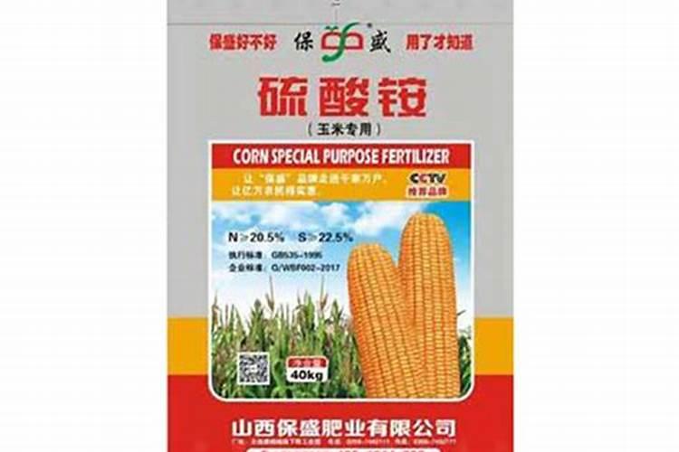 青碱地种玉米的简洁方法