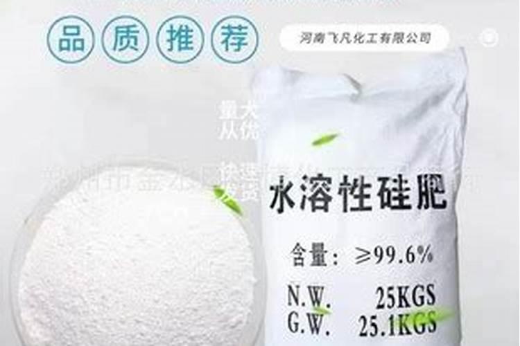 硅肥在水稻的作用及使用方法