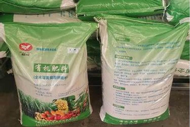 红葱,洋葱,圆葱有什么区别？