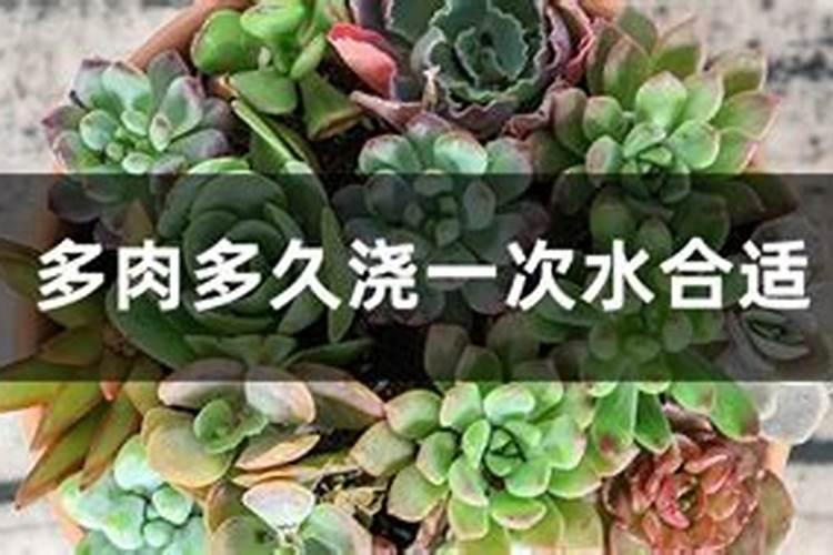 硼肥最忌三种果树