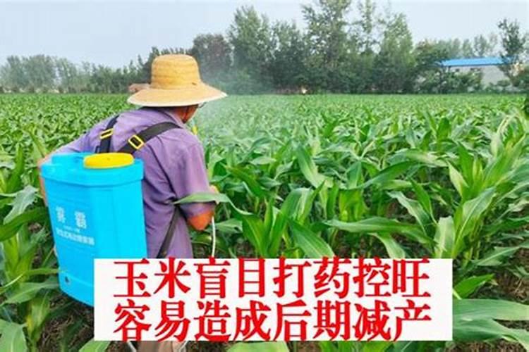 玉米生长慢打什么叶面肥好