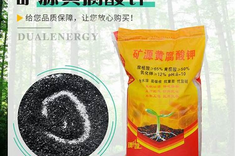 菠菜开花了,还可以吃麽？
