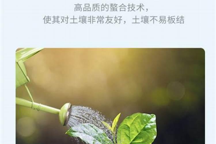 如何促进柑桔果实着色