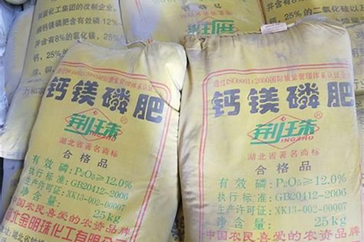 金丝楠苗木种植技术和管理经验 ？
