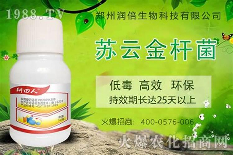 叶面肥与农药可以混用吗,叶面肥与农药混用的注意事项