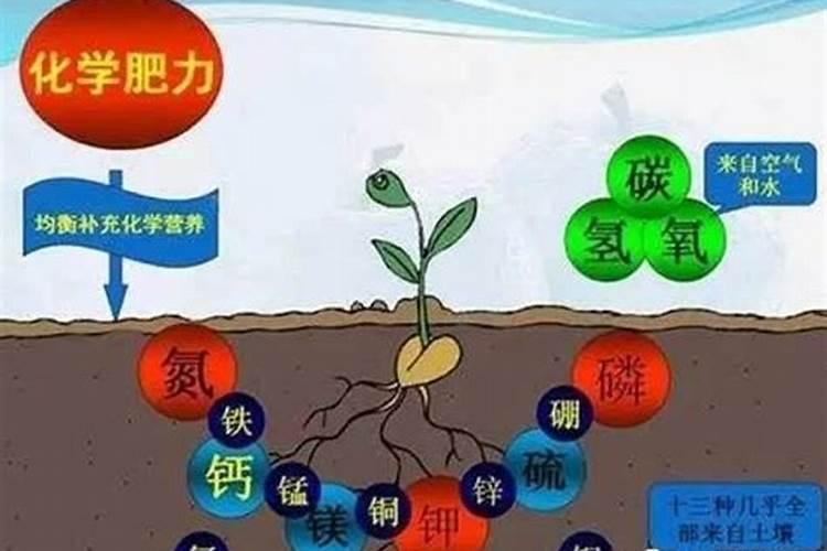 代森锰锌可以和锌肥混用吗？