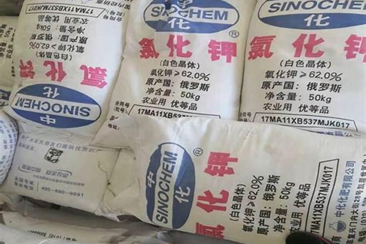 豆角冲什么水溶肥最好