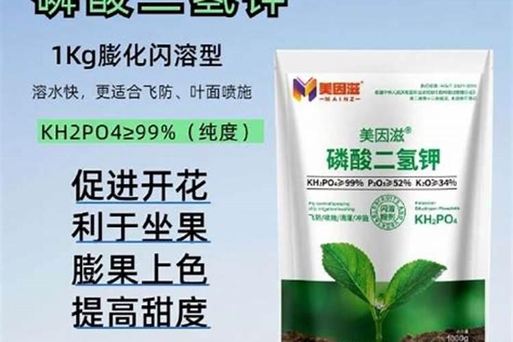 玉米打叶面肥好还是追尿素好