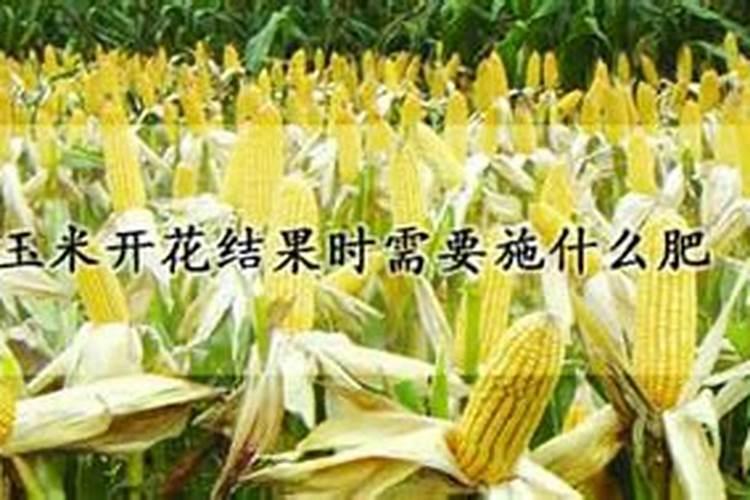 请列举一些复合肥料,磷酸钙是磷肥还是复合肥？为什么？