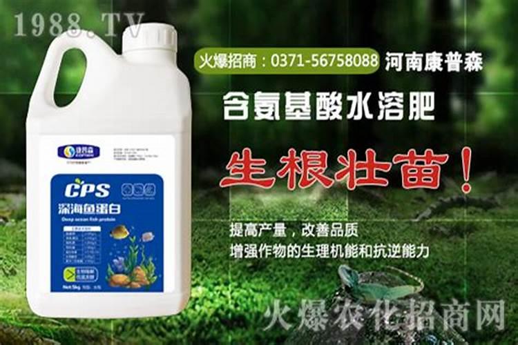 鱼蛋白液体肥使用方法