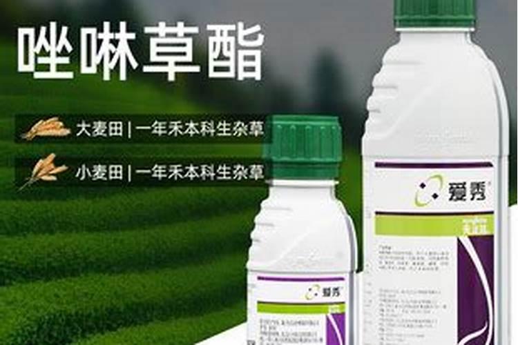 苹果树施肥的方法
