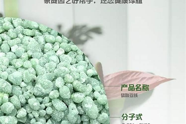 浇花用什么肥料浇最好