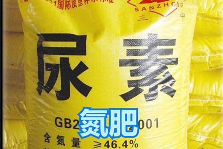 种菜用什么肥料最好