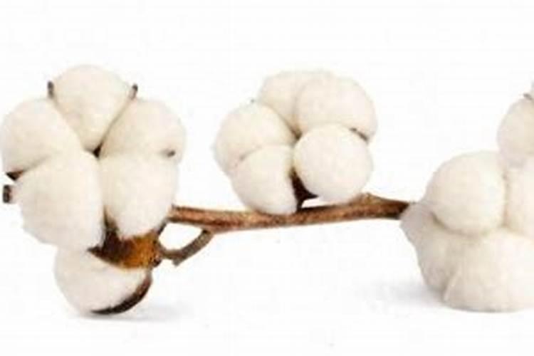 大豆田打尿素加芸苔素在加磷酸二氢钾可以吗？