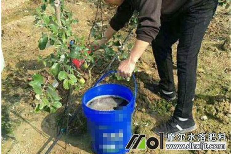 钾肥兑水可以灌溉吗？