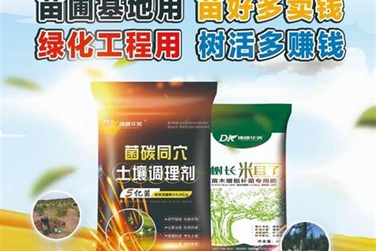 豆子几天出苗 播种到发芽出苗时间