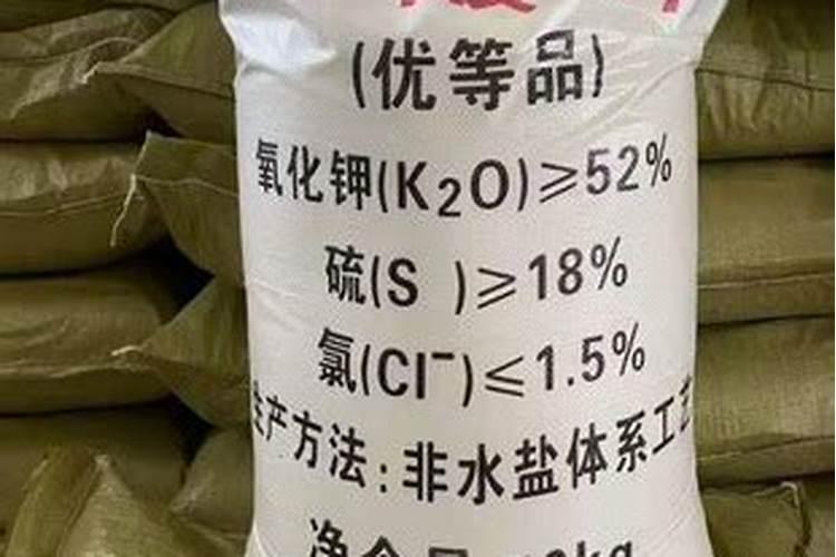 种豆子需要施肥吗