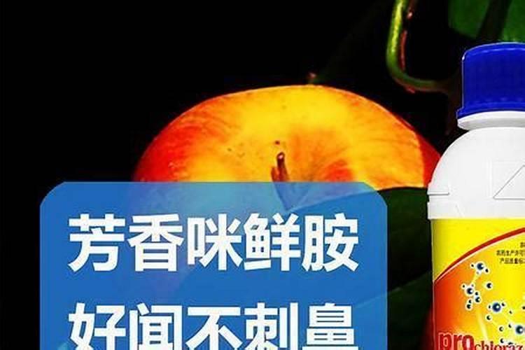 朱顶红用苔草可以吗？