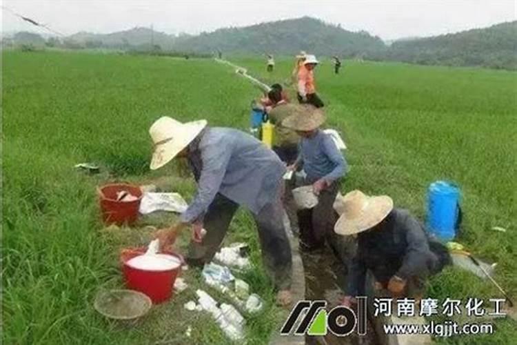 如果先一铵在钙肥可以吗