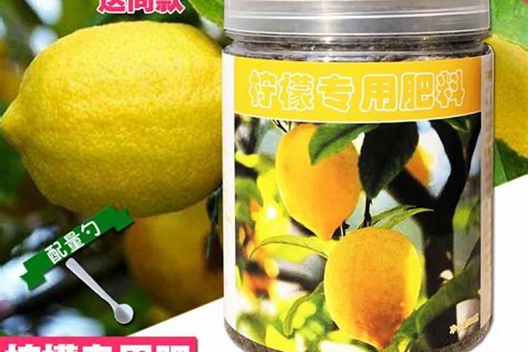 柚子树膨果专用肥是什么肥料？施肥的时间是什么时候？