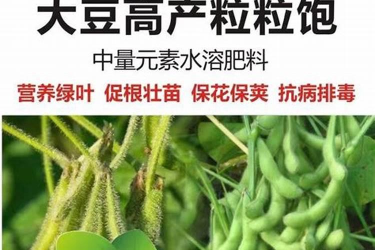 黄豆增产的方法有几种