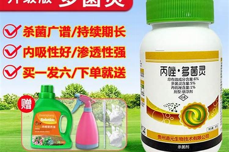 黄储玉米秸秆最多能储几年不变质