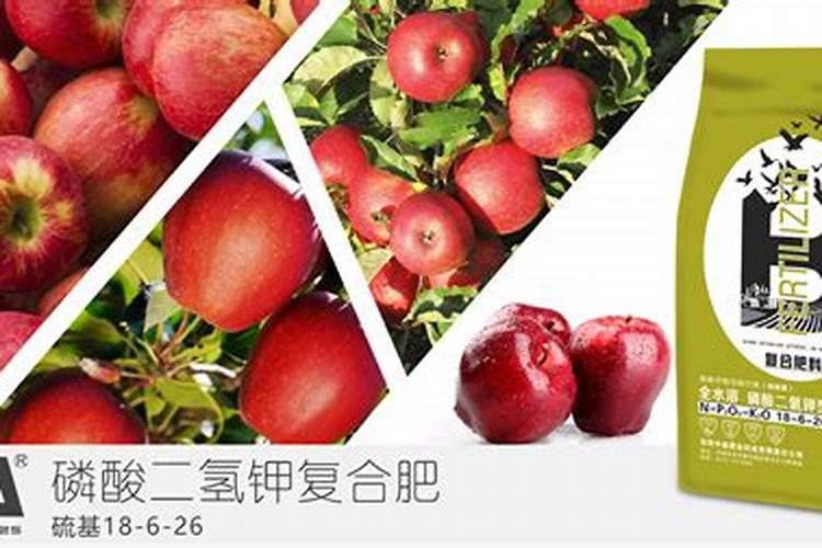 苹果几月份打硼好