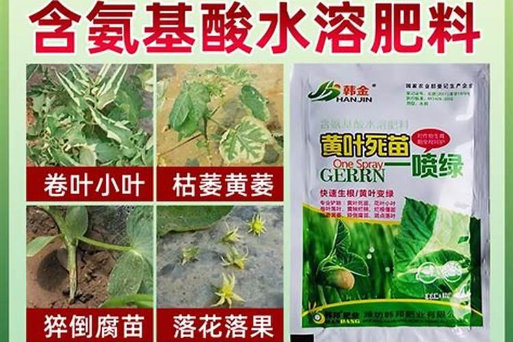 果树缺钙用什么肥料最适合(果树需补什么钙肥最好)