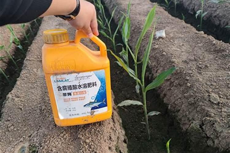 硫酸铵可以做烤烟追肥吗？