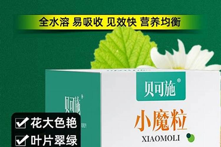 月季施什么肥开花最好
