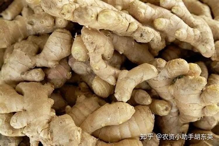 生姜喷施磷酸二氢钾的作用