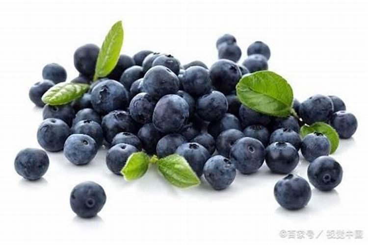蓝莓种植技术有哪些