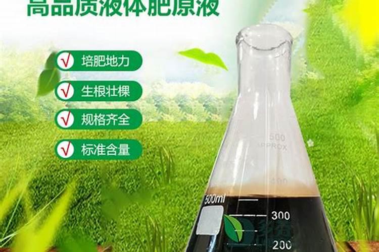 国内最好的水溶肥厂家？