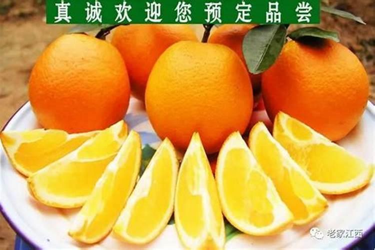 农业用硝酸铵钙能和微生物活菌生根剂一起冲施猕猴桃幼苗或爱媛38号桔子...
