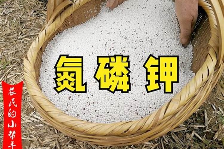高氯复合肥可以做小麦底肥吗