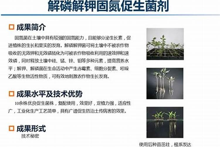 黄腐酸钾的作用