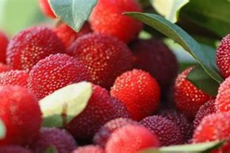 柑橘缺锌用怎么肥料追肥好