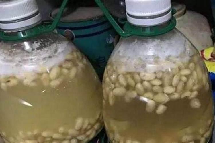 黄豆施什么肥比较好