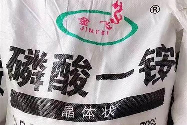 旭润如何护理好一条龙4