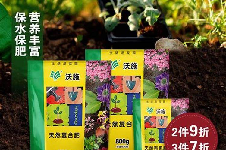 生菜的施肥时间及方法